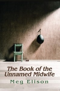 The Book of the Unnamed Midwife
